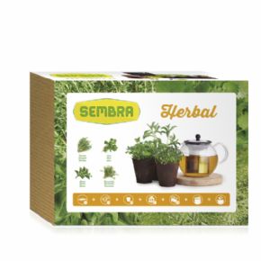 KIT DE CULTIVO HERBAL 